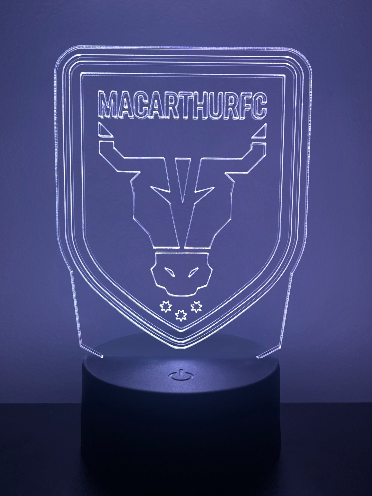 Macarthur FC led Night Light